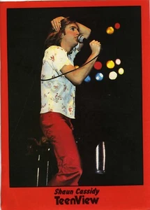 Shaun Cassidy Heartthrob 1978 ottima STAMPA ARTICOLO/FOTO 2 pezzi regalo ventilatore! (3534) - Foto 1 di 2