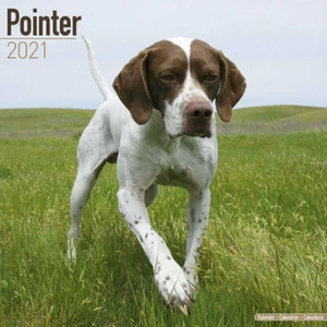 Calendrier 2021 - POINTER - Picture 1 of 2