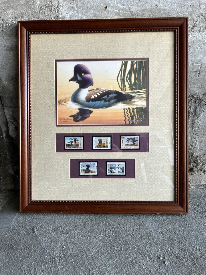 Framed 1995 Robert Steiner Goldeneye Duck Stamp Print with 5 State Stamps - Image 1 of 2
