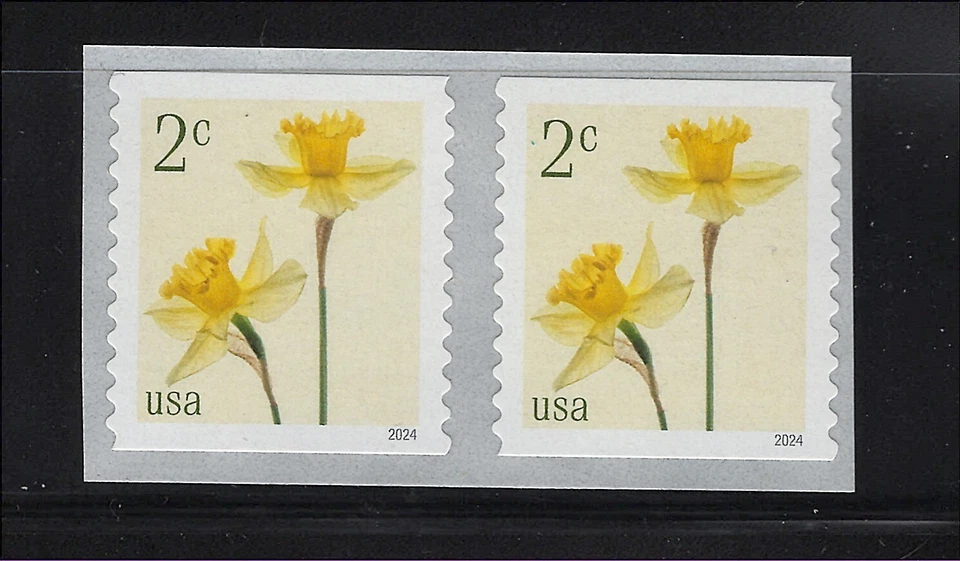 US Scott # 5903 Flowers Daffodils MNH Coil Pair 2024 - Image 1 of 1