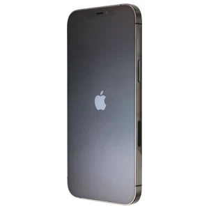 Apple IPHONE 12 Pro Max (6.7-in) Smartphone (A2342) Débloqué - Graphite / - Photo 1 sur 7