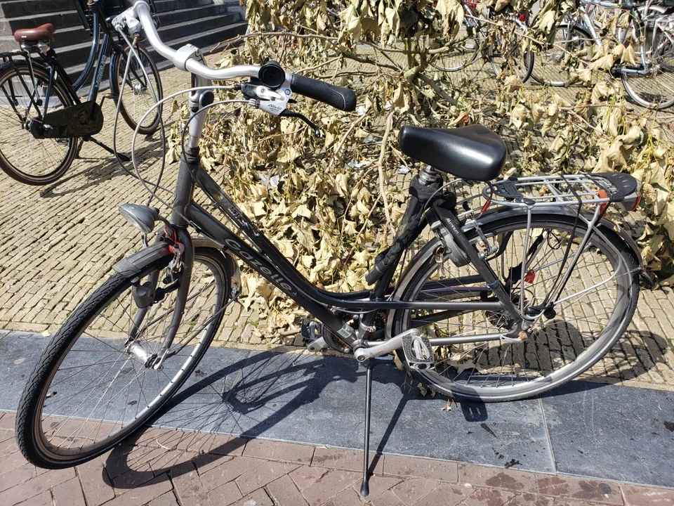 Gazelle bike - Image 1 of 1