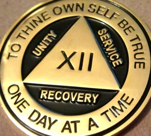 Black Gold Alcoholics Anonymous AA 12 Year Medallion Token Chip Sober sobriety - Picture 1 of 9