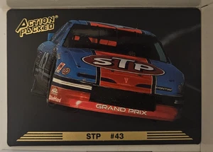 Carta Braille Richard Petty 1993 Action Packed STP #31! - Foto 1 di 3