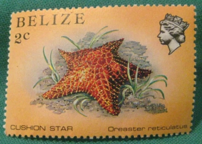 Cojín Belice 1984 -2c estrella-MNH único-#700 Foto 1 de 2