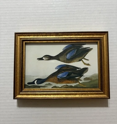 Audubon Framed Print Blue Winged Teal 5 1/2 X 8 Inches - Image 1 of 4