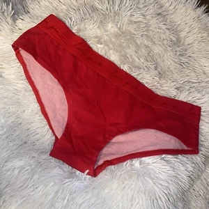 NWOT Victoria Secret Logo PINK Hipster Bikini Panties XL Panty Underwear 2#B1 - Picture 1 of 7