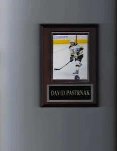 DAVID PASTRNAK PLAQUE BOSTON BRUINS HOCKEY NHL - Picture 1 of 1