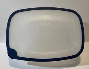 Rubbermaid Lebensmittelbehälter F blau Deckel 32 Tassen 7,6 Liter 2 Gallonen - Bild 1 von 14