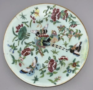 Antique Chinese Celadon Famille Rose Porcelain Plate Birds Butterflies 19cm wide - Picture 1 of 13