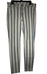 Hudson Krista Super Skinny Striped Blue /White Pants Size 31 - Picture 1 of 11