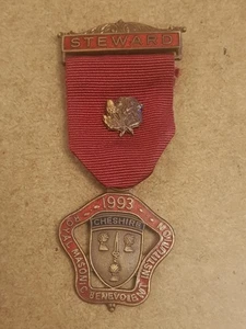 Vintage 1993 Metal Cheshire Royal Masonic Benevolent Institution Steward Jewel - Picture 1 of 6
