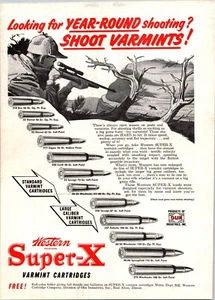 VINTAGE 1952 WESTERN SUPER X VARMINT PATRONEN DRUCK AD - Bild 1 von 1