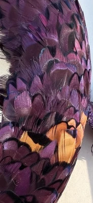 Vtg Edwardian Purple Feather Curved Trim Set On Buckram Plume Hat Millinery - Image 1 of 4