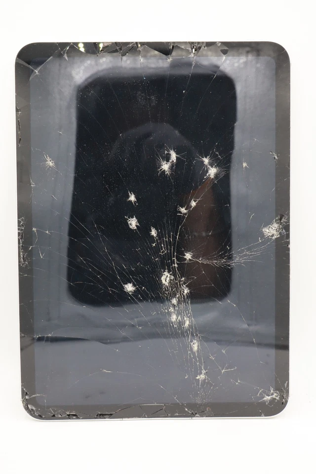 Apple iPad 10.Gen 64GB Wi-Fi Silber A2757 LCD-Schaden / DEFEKT #5918 - Bild 1 von 4