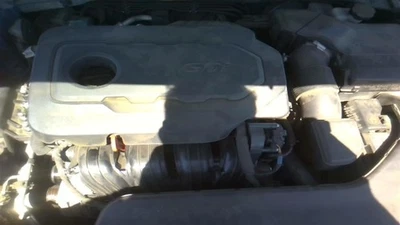 Manija de puerta interior SONATA 2016 30394062 Foto 1 de 4