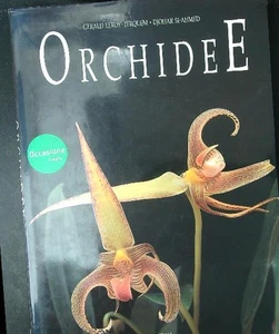 ORCHIDEE AA.VV. RIZZOLI 1991 \ GEBUNDEN MIT UMSCHLAG - Bild 1 von 1