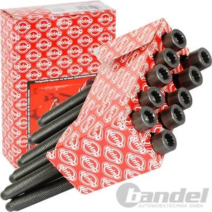 ELRING ZYLINDERKOPFSCHRAUBEN-SATZ für M111 MERCEDES W124 W202 W203 W210 R170 - Afbeelding 1 van 2