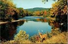 Ausable River Lake Placid Ny Adirondacks New York Vtg Postcard Richmond Pm Wob