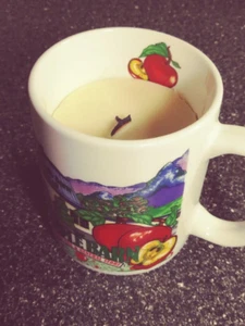 Apple raspberry cinnamon natural soy and beeswax wood wick candle upcycled mug - Picture 1 of 4