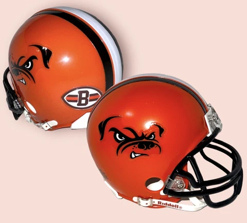 CLEVELAND BROWNS "DAWG POUND" LOGO CUSTOM FOOTBALL MINI HELMET 💥 Cover
