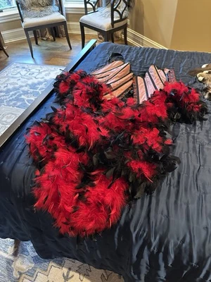 Vestido corsé burlesco plumas mediano Foto 1 de 4