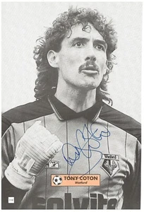 TONY COTON WATFORD FC 1984-90 EX MANCHESTER UNITED ORIGINAL AUTOGRAPH PICTURE - Picture 1 of 3