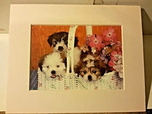 Portal Publications 1988 Puppies in Basket Ron Kimbal Lithograph 100 CP032 27 - Picture 1 of 4