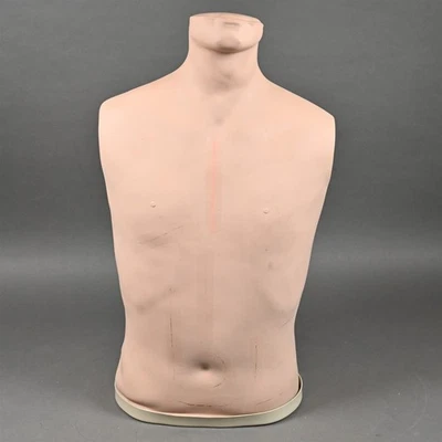 Nasco Life Forms Simulator - Modelo de treinamento de tronco - Imagem 1 de 4