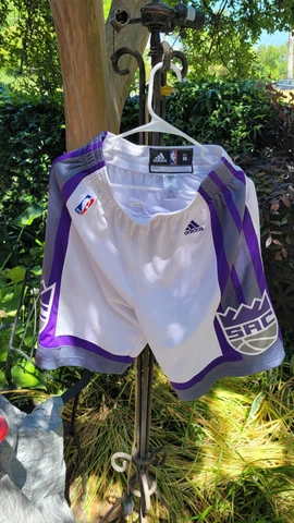 Sacramento Kings Team Pro Cut Adidas Shorts Men Medium Cover
