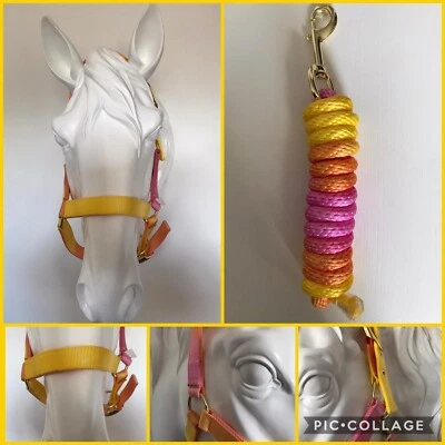 REDUCED Headcollar and Lead Rope, FULL, Peach Multicoloured, FREE UK Postage - Image 1 of 4