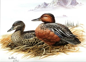 2000 Don Balke Duo Signed Lithograph - Fleetwood - Picture 1 of 1