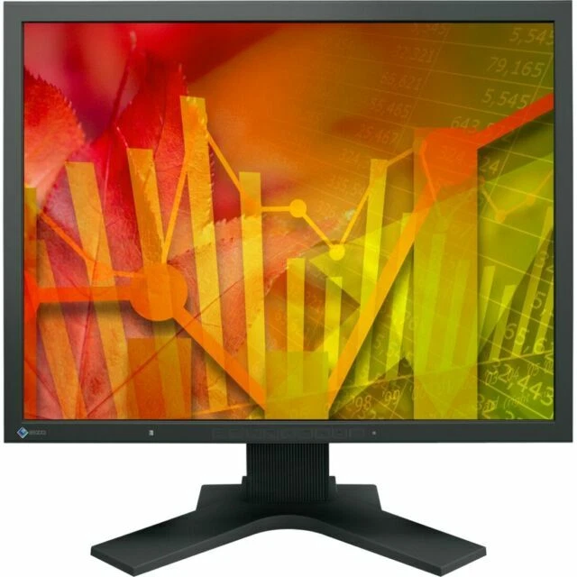 EIZO S2133BK 21.3" UXGA LED LCD Monitor - Black