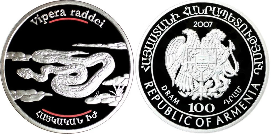 2007 Armenia Large Silver  Proof 100 Dram Snake-Viper - Image 1 of 1