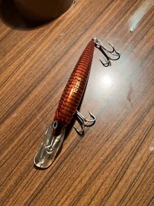 esche da pesca - Foto 1 di 1