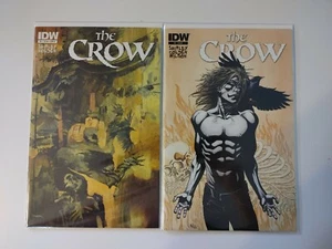 The Crow Death #1 & 2 2012 IDW Comic Book Ashley Wood Cover (L3) - Picture 1 of 3
