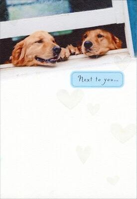 Tarjeta Feliz ANIVERSARIO PARA AMANTES, Golden Retriever Dogs de American Greetings +✉ Foto 1 de 4
