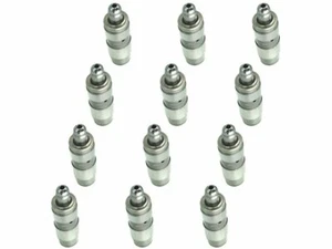 Valve Lifter Set 6SNH19 for Dakota Ram 1500 Durango 2005 2004 2002 2006 2001 - Picture 1 of 1