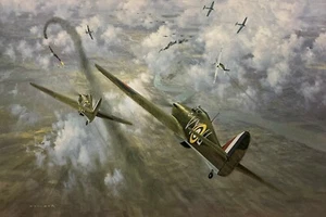 Defence of the Capital by Gerald Coulson signed Battle of Britain Hurricane Aces - Picture 1 of 3