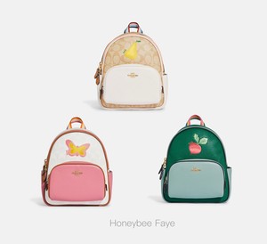 blaze h saddlebolsa set