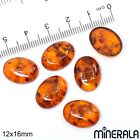 Wholesale Natural Pressed Amber Gemstone Oval Cabochon 4X6mm-30X40mm Wp000b0