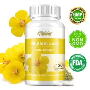 Königskerze Blatt 1200 mg - Stärke Lungenreinigung  Entgiftung der - Bild 1 von 12