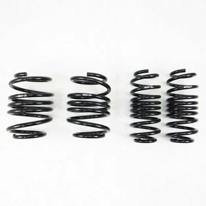 RS-R Down Sus Springs for 2018+ Honda Civic Type R (FK8) - Picture 1 of 1