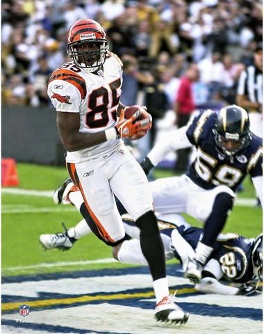 Chad Johnson Cincinnati Bengals Unsigned Action Touchdown 11" x 14" Photo Cover