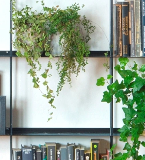 Estantería de Pared Krossing De Kriptonite 200x200CM Aluminio, Blanco O Negro - Imagen 1 de 1