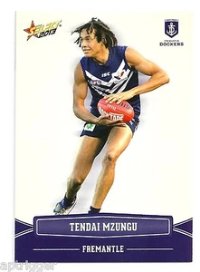 2013 Champions (74) Tendai MZUNGU Fremantle - Picture 1 of 1