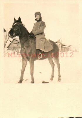 Foto, 2ª GM. N.K.P. 2/2 Chodokasi/RUS 1942: un Uffz. "Alto a caballo" (MB)21358 - Imagen 1 de 2