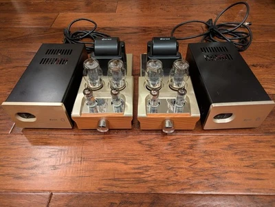 Amperios de tubo mono DARED VP-20 6l6 con fuentes de alimentación externas dobles -Bonito- Foto 1 de 4