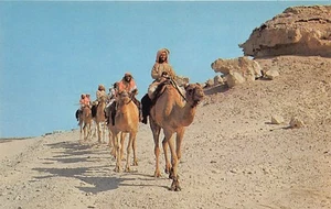 Bahrain - Camel caravan - Publ. Falcon Cinephoto - Picture 1 of 2