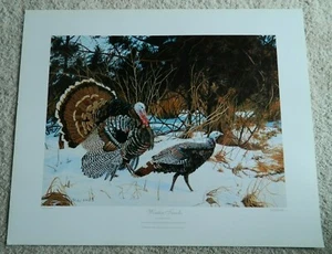 1997-1998 Iowa Ducks Unlimited Print of the Year DU Charlotte Edwards T - Bild 1 von 2